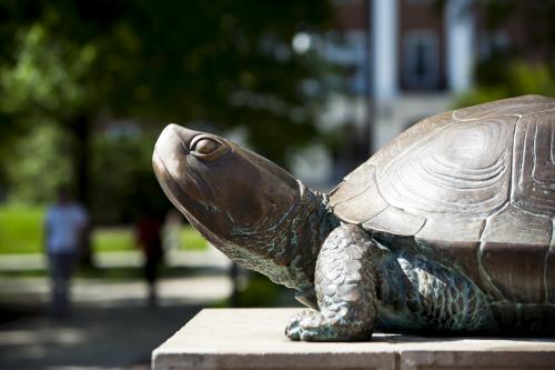 testudo