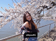 audlin